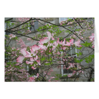 Frühjahr in der Swarthmore-Uni
