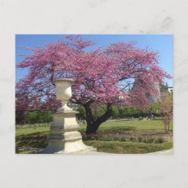 Frühjahr in Paris Postkarte