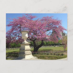 Frühjahr in Paris Postkarte