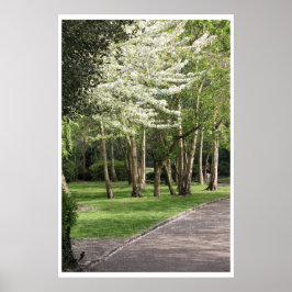 Frühjahr Irland Poster