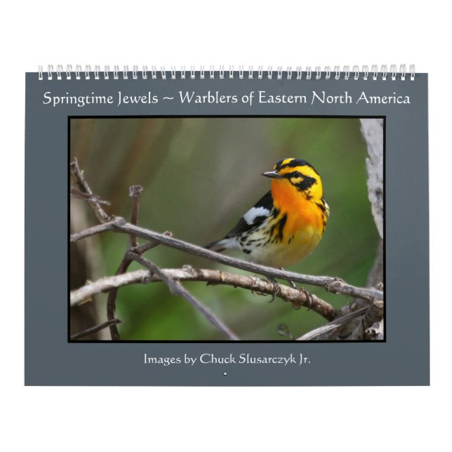 Frühjahr-Juwelen - Trällerer-Kalender Kalender (Titelbild)