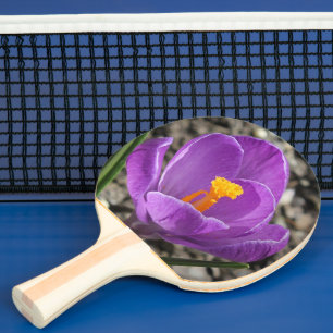 Frühjahr Lila Crocus Blume Foto 2-seitig bedruckt Tischtennis Schläger