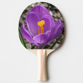 Frühjahr Lila Crocus Blume Foto 2-seitig bedruckt Tischtennis Schläger