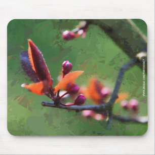 Frühjahr Mousepad