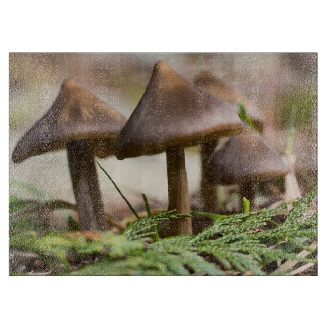 Frühjahr-Mushroom-Schneidplatte Schneidebrett (Vorderseite)