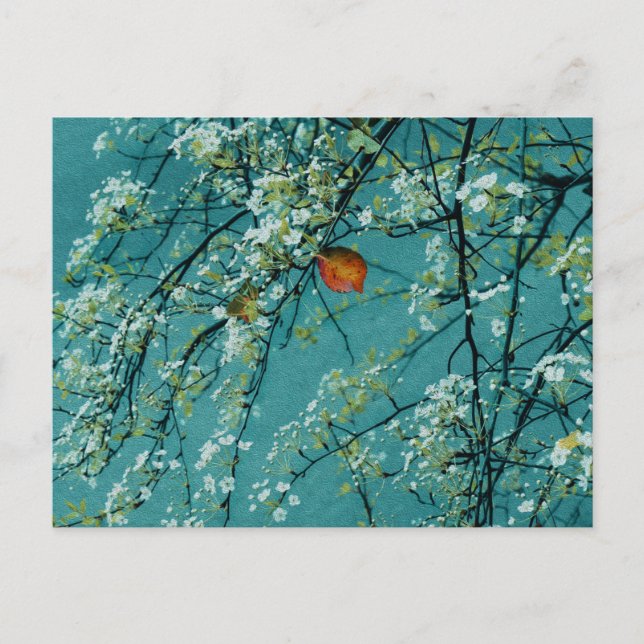 Frühjahr Postkarte (Vorderseite)