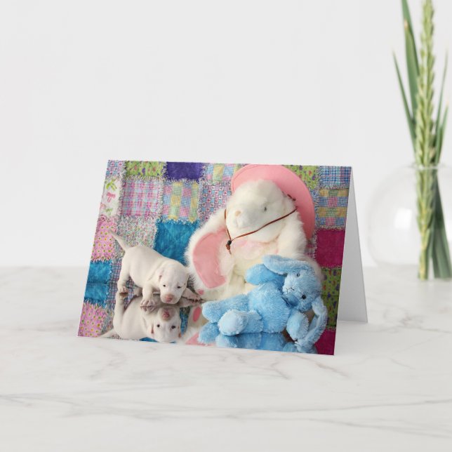 Frühjahr-Reflexion Karte (Vorderseite)