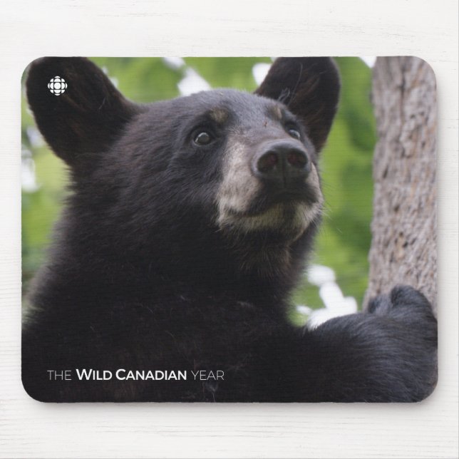 Frühjahr - Schwarzer Bär Mousepad (Vorne)