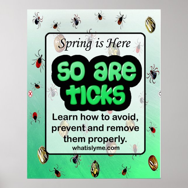 Frühjahr und Tick Lyme Disease Prevention Poster (Vorne)