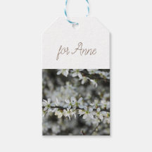 Frühjahr,Weißblüten Foto Geschenktasten