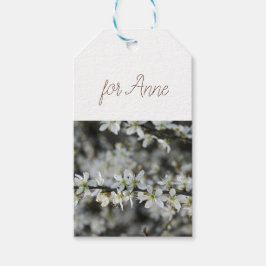 Frühjahr,Weißblüten Foto Geschenktasten Geschenkanhänger