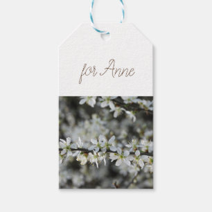 Frühjahr,Weißblüten Foto Geschenktasten Geschenkanhänger