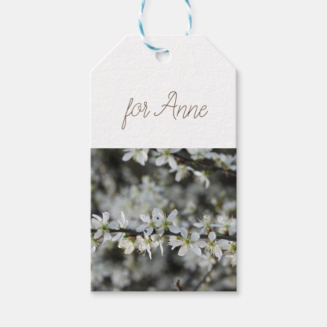 Frühjahr,Weißblüten Foto Geschenktasten Geschenkanhänger (Vorderseite)