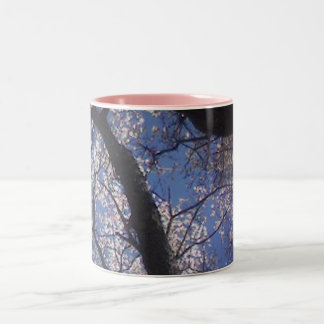 Frühjahrbäume Zweifarbige Tasse