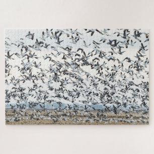 Frühjahrs-Migrationspuzzle