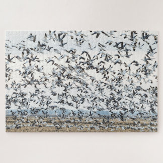 Frühjahrs-Migrationspuzzle