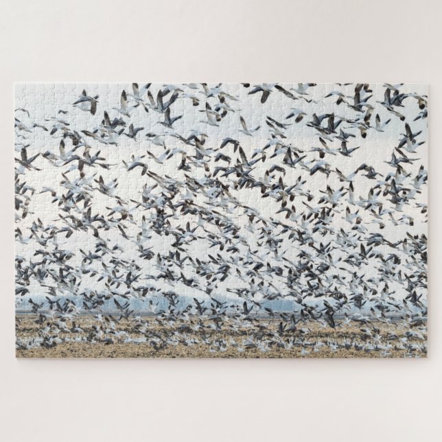 Frühjahrs-Migrationspuzzle (Horizontal)