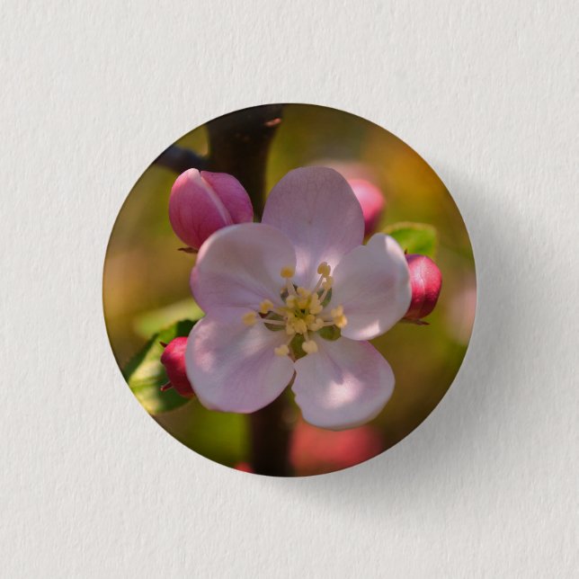 Frühjahrsapfelblüte Button (Vorderseite)
