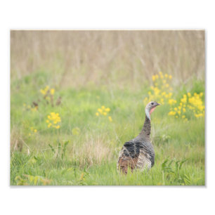 Frühjahrsausgabe der Türkei - 2 Fotodruck