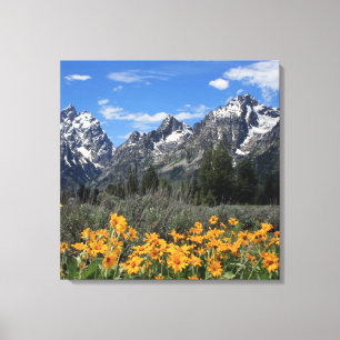 Frühjahrsblumen im Grand Teton Nationalpark Leinwanddruck