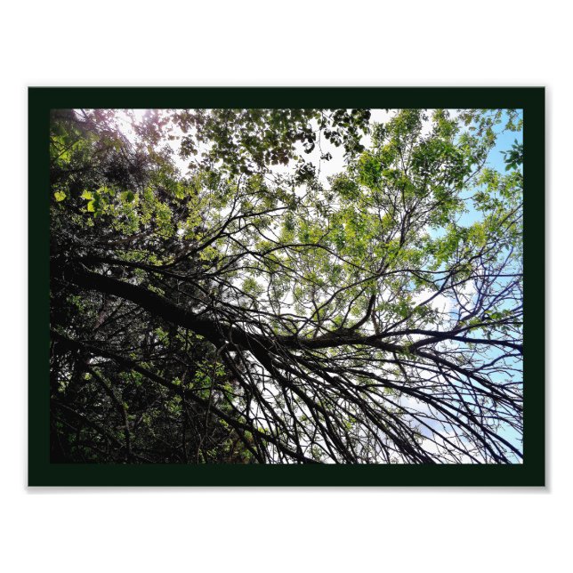 Frühjahrsblut Fotodruck (Vorne)