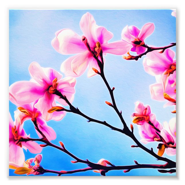 Frühjahrsblüte Fotodruck (Vorne)