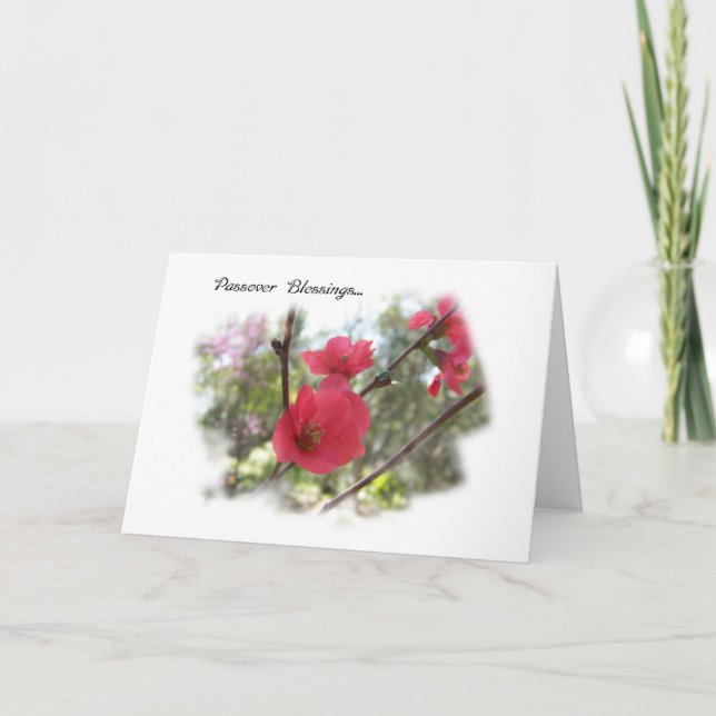 Frühjahrsblüte Pessach Grußkarte Karte (Vorderseite)