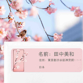 Frühjahrsblüte - Sakura - personalisiert