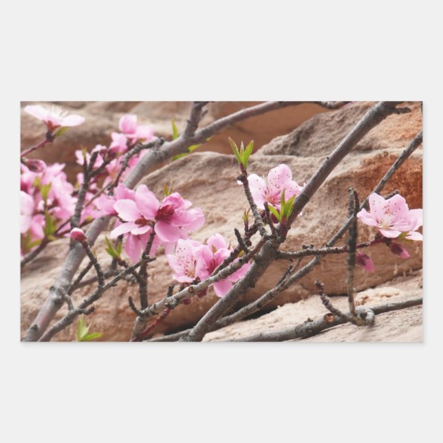 Frühjahrsblüten auf Zion Rocks Rechteckiger Aufkleber (Vorderseite)