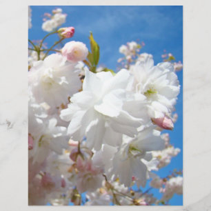 Frühjahrsblüten Flyer Papier Blue Sky Blume