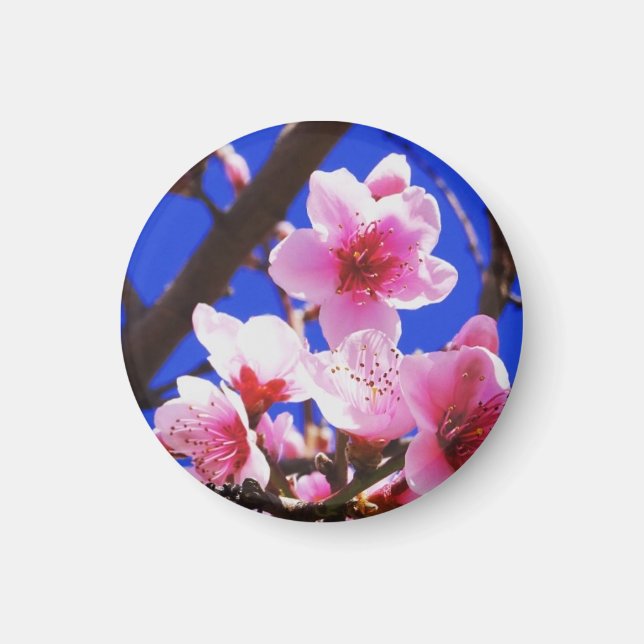 Frühjahrsblüten Magnet (Vorne)