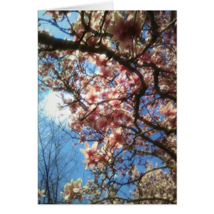Frühjahrsblüten-Notecard