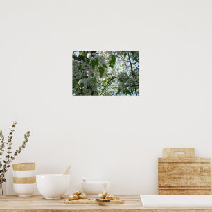 Frühjahrsblüten Poster