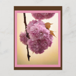 Frühjahrsblüten Postkarte