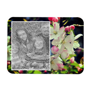 Frühjahrsblüten Rahmen hinzufügen Ihr Foto Magnet