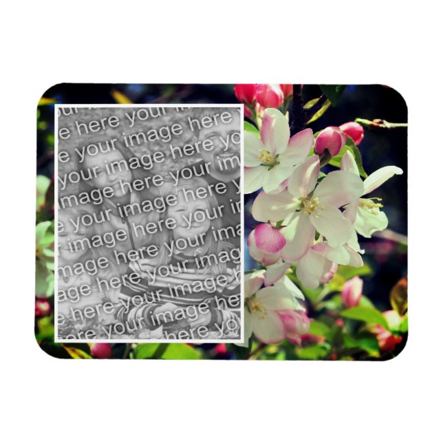 Frühjahrsblüten Rahmen hinzufügen Ihr Foto Magnet (Horizontal)