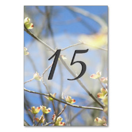 Frühjahrsblüten Tischnummer