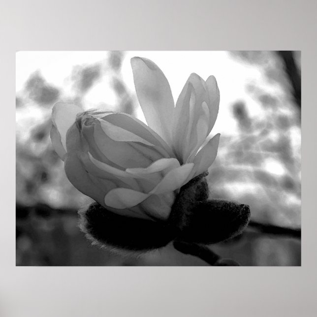 Frühjahrsblütendruck Poster (Vorne)