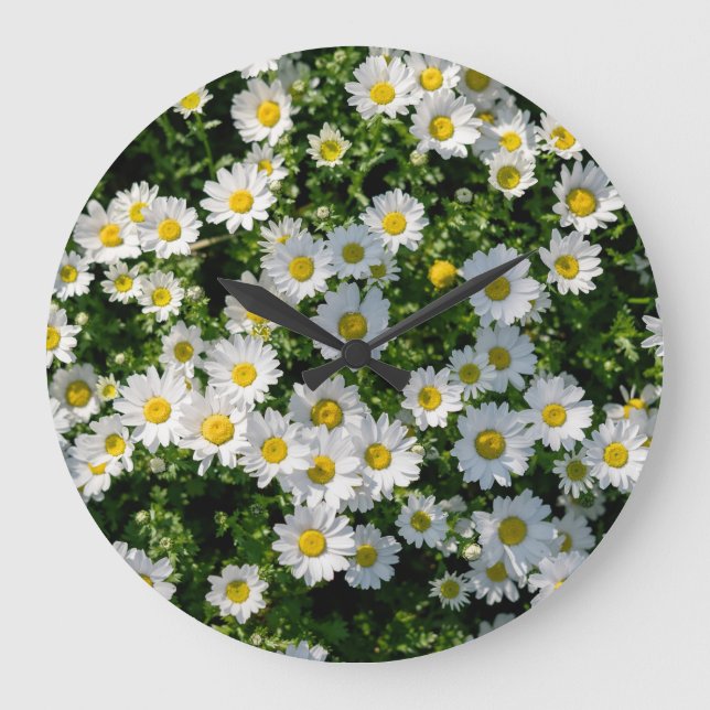 Frühjahrsdaisy Field: Serene Hintergrund Große Wanduhr (Vorderseite)