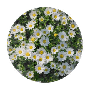 Frühjahrsdaisy Field: Serene Hintergrund Schneidebrett