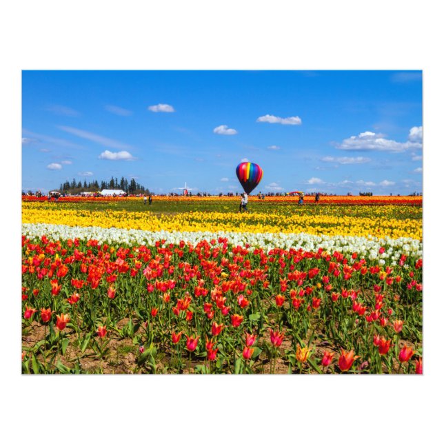 Frühjahrserweiterung des Fotos Fotodruck (Vorne)