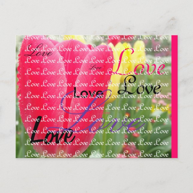 Frühjahrsexplosion Postkarte (Vorderseite)