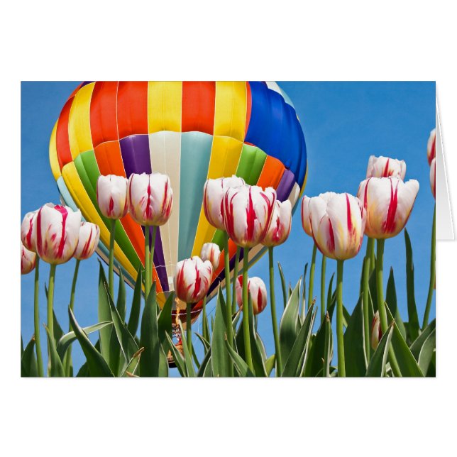 Frühjahrsfahrt (Vorderseite (Horizontal))