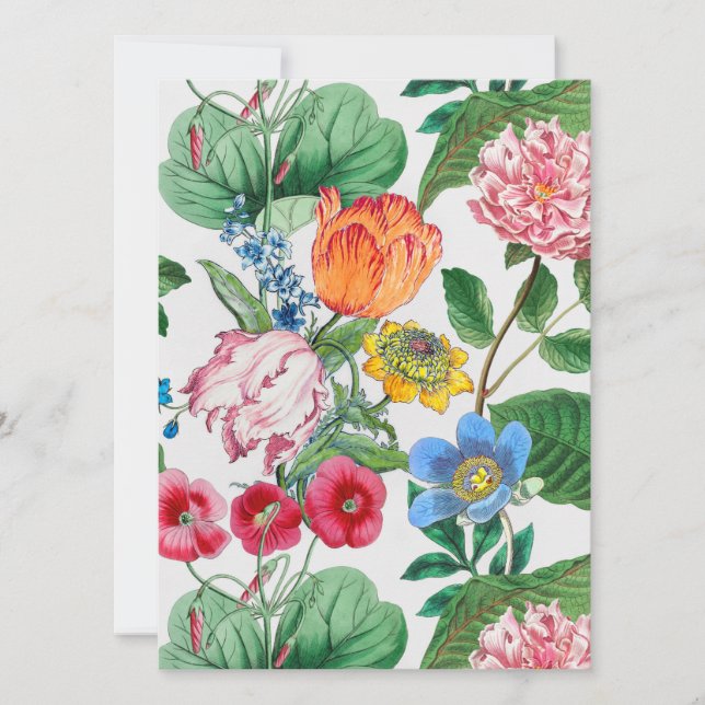 Frühjahrsgarten (Vorderseite)