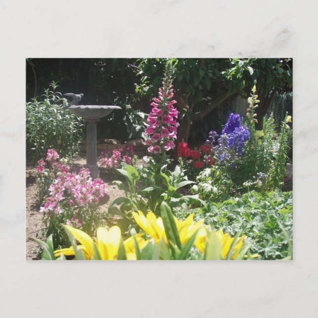 Frühjahrsgarten 2009 006 postkarte (Vorderseite)