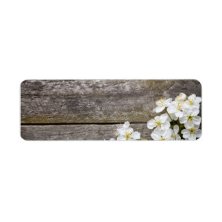 Frühjahrshintergrund mit Kirsche-Blume