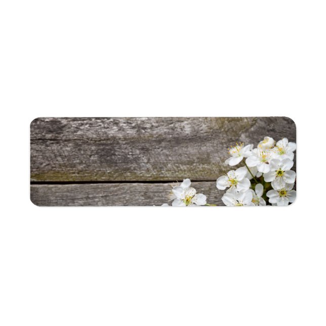 Frühjahrshintergrund mit Kirsche-Blume (Vorne)