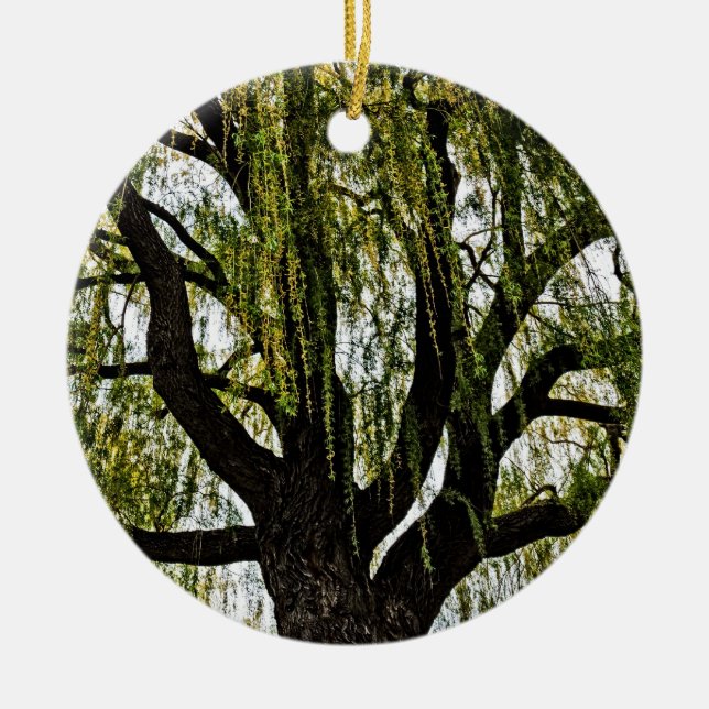 Frühjahrshoffnungen gedämpft keramik ornament (Vorne)