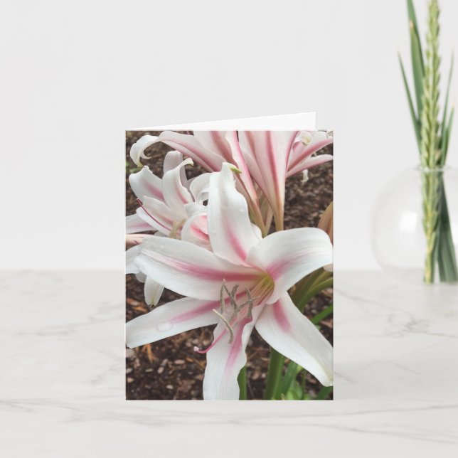 Frühjahrskarte Nr. 2 Karte (Vorderseite)