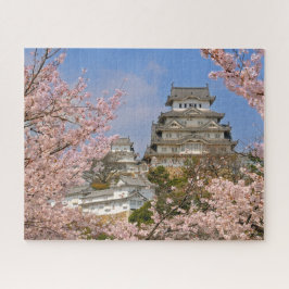 Frühjahrskirsche Blüten auf Himeji Castle in Japan